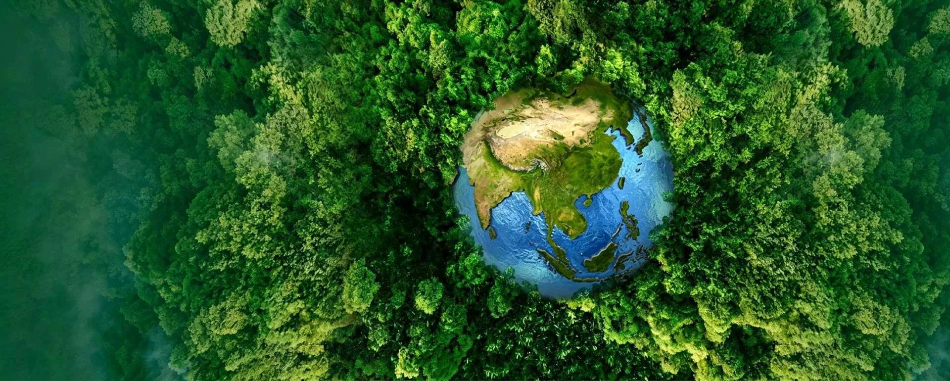 Sinou: produttore diretto in Cina di apparecchiature ambientali industriali
